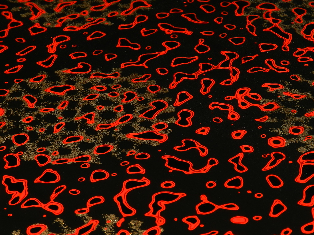 zt-00012