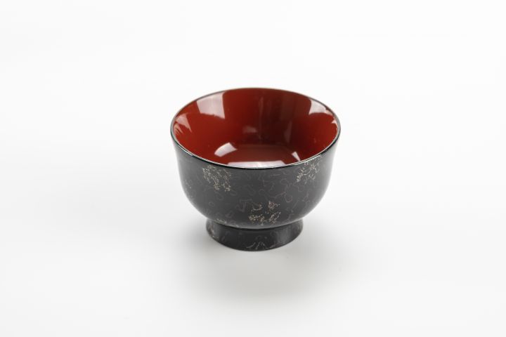 gn-00100